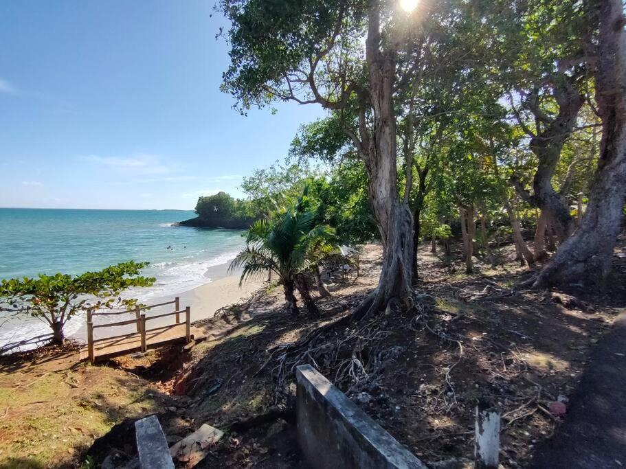 Haut De Villa Avec Vue Sur La Mer Sainte-Rose Exterior foto